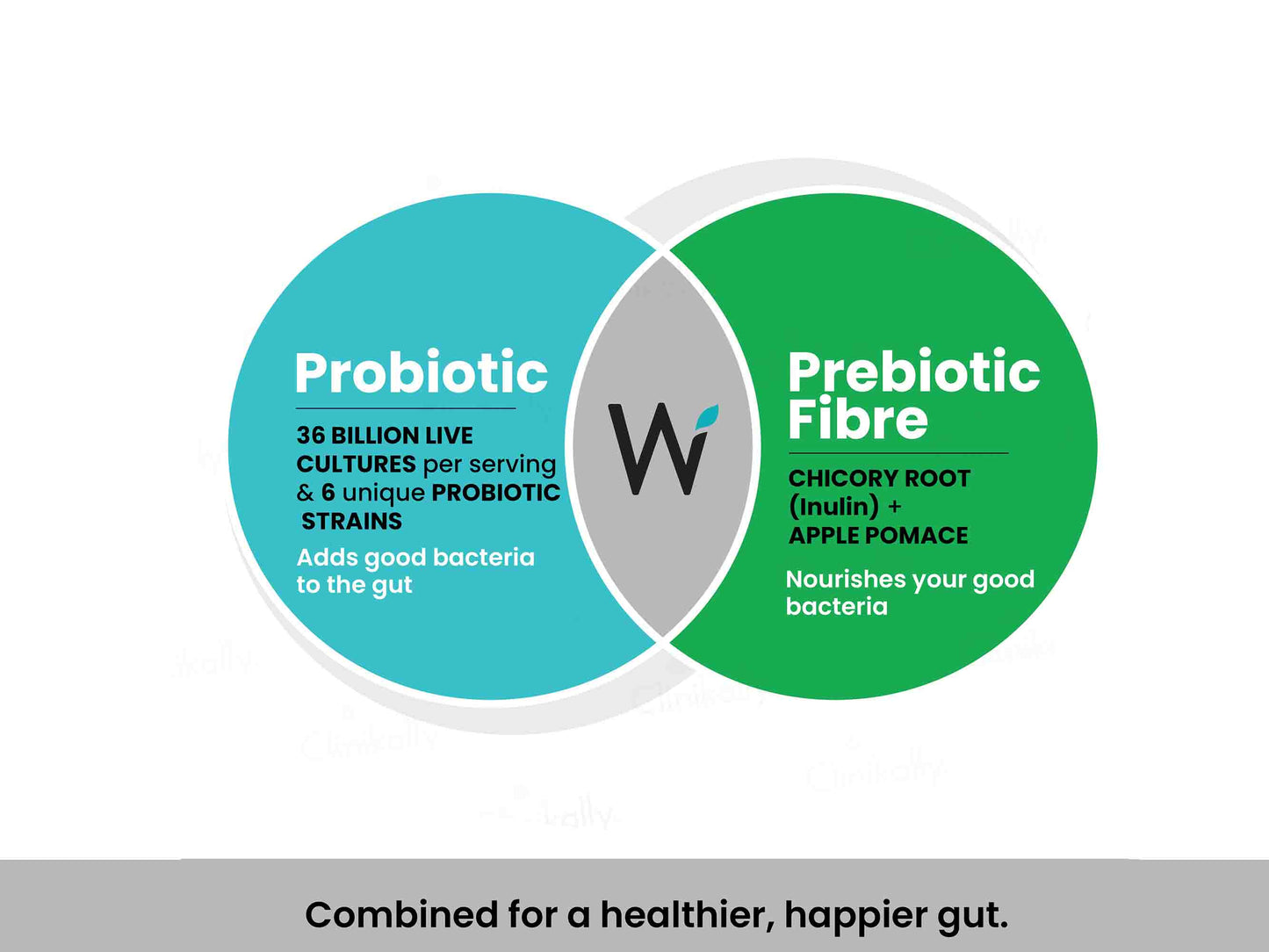 Wellbeing Nutrition Probiotic + Prebiotic Tablet - Green Apple & Peppermint Flavour